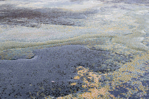 Close-up van de dichte, lage pool van het Tapison Home Torino 063.0934.5241 vloerkleed