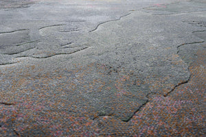 Close-up van de dichte, lage pool van het Tapison Home Torino 063.0934.5626 vloerkleed